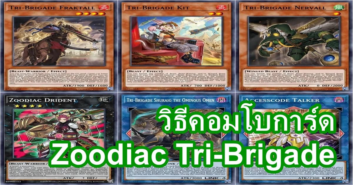 วิธีเล่น Zoodiac Tri-Brigade มือแรก